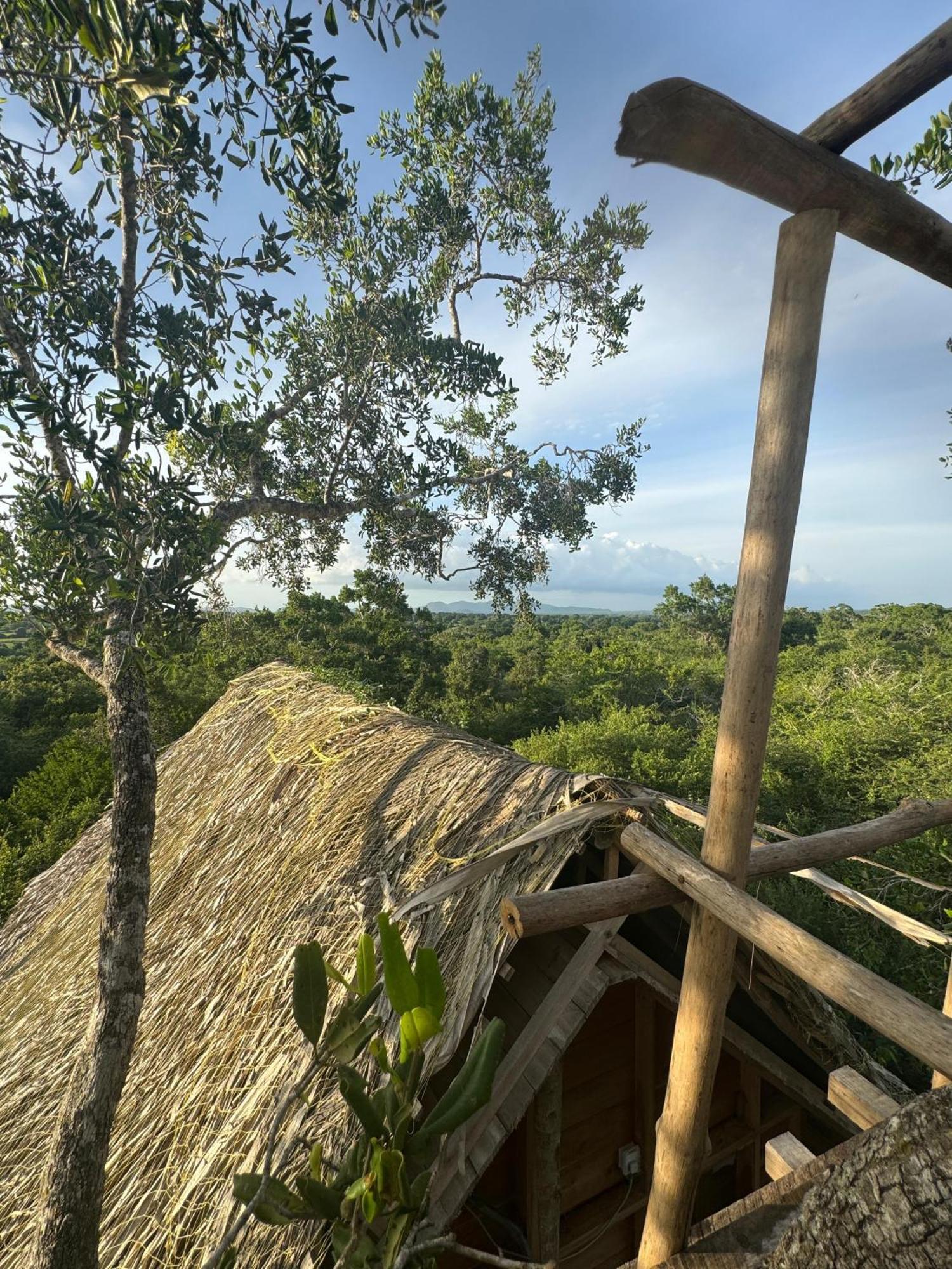 Hotel Mamba Yala Tissamaharama Exterior foto
